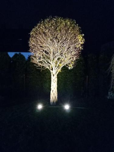 IMG 20191111 201322621