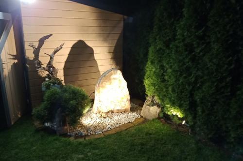 IMG 20191111 202750748 1